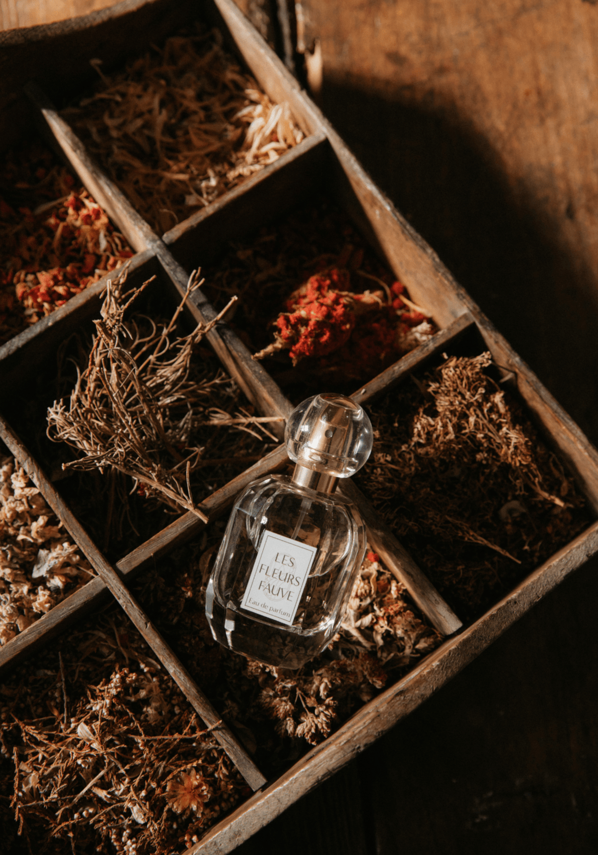 Le Lookbook de la CAPSULE DE NOËL - Maison Fauve