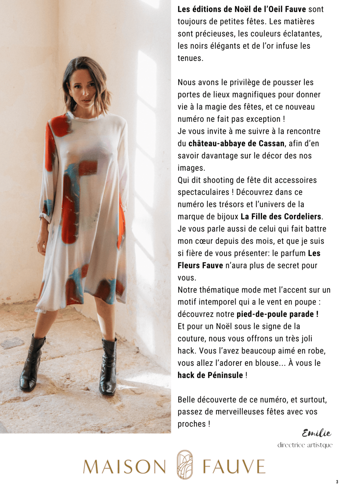 Magazine L'Oeil Fauve - Numéro 10 - Décembre 2024 - Maison Fauve