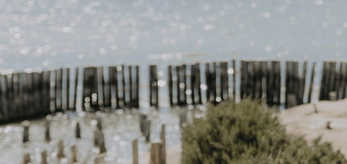 Collection capsule Soleil Blanc : le lookbook - Maison Fauve