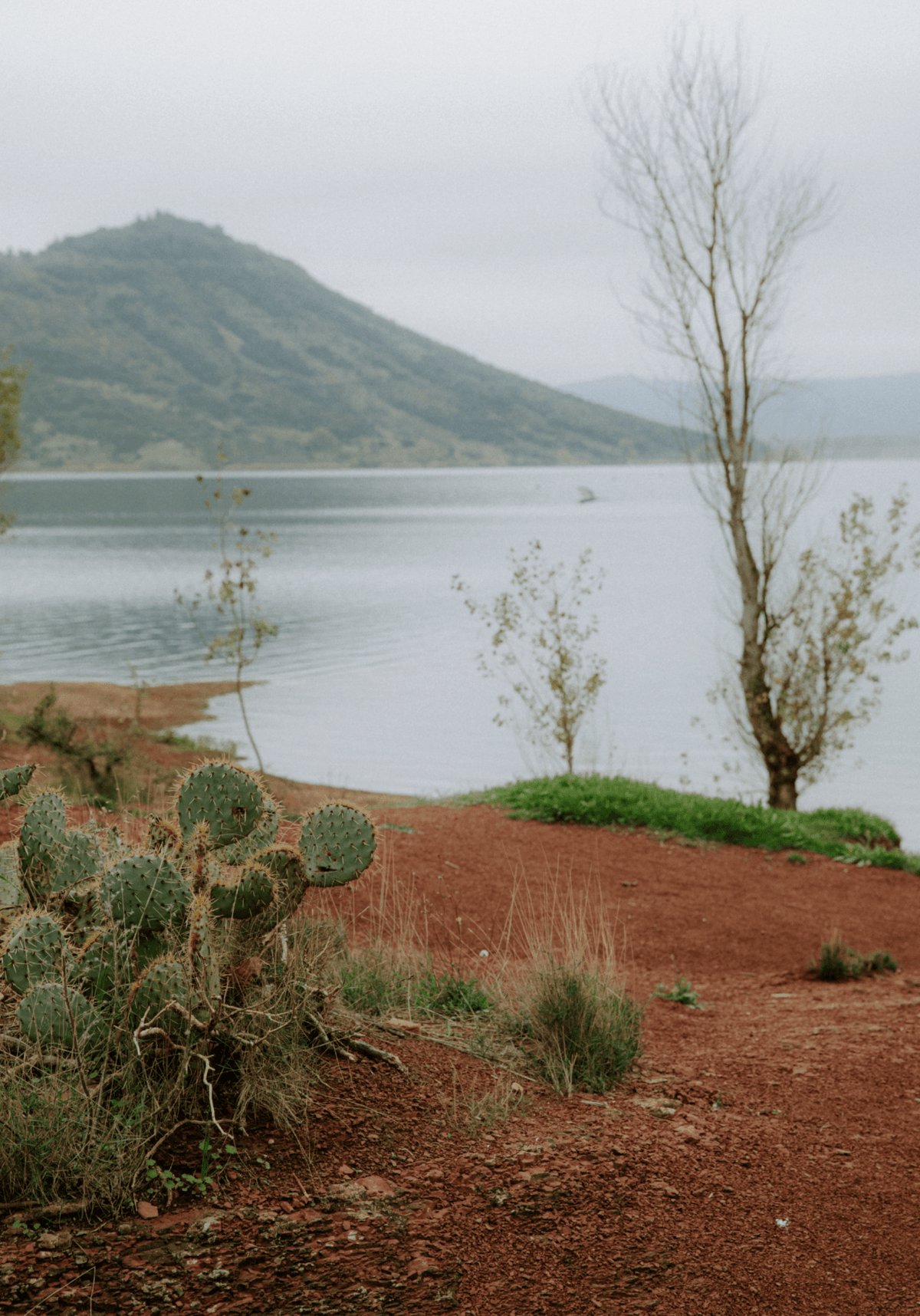 Le Lookbook de la collection NOMADE - Maison Fauve