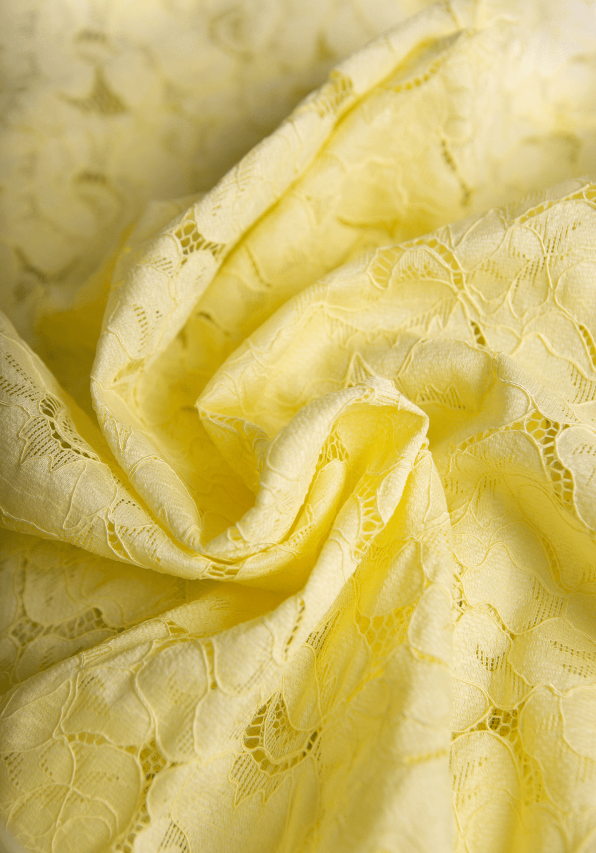 Tissu dentelle florale Daphné - Plusieurs coloris - Maison Fauve
